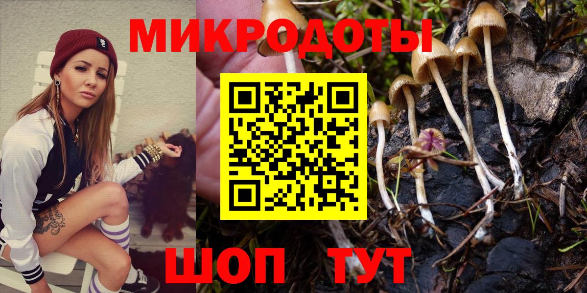 Волхов  Псилоцибиновые грибы MAGIC MUSHROOMS  где найти наркотики  Вход с VPN 